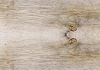 Пробковый пол Corkstyle Wood Sibirian Larch Limewashed